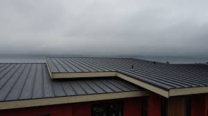 Best Roof Coating and Sealing  in Danville, PA